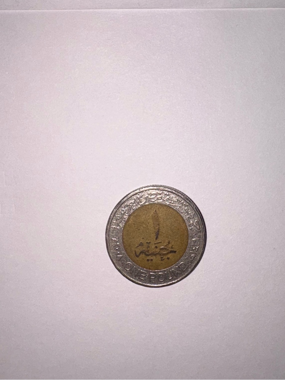 Bimetallic Decorative Coin Accent - Gold and Silver Finish